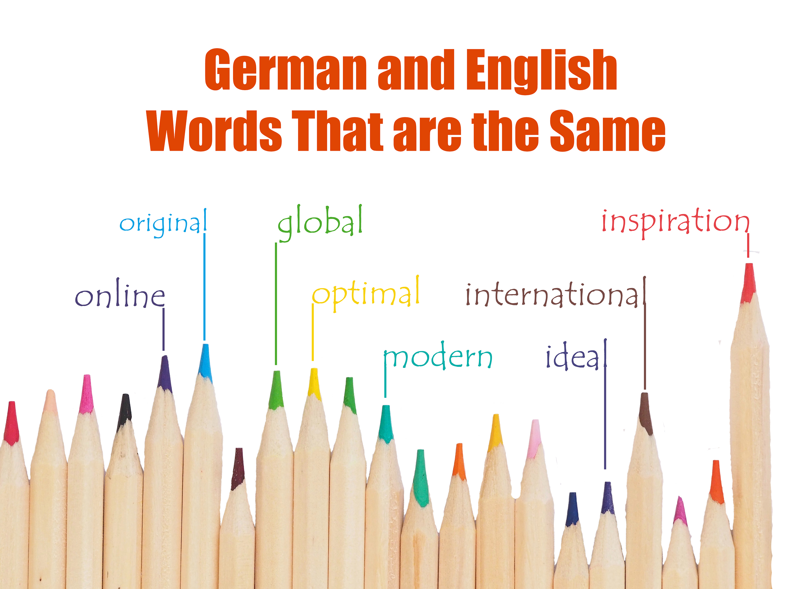 German Vocabulary Words That Are The Same My Germanized Life